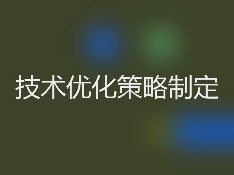 技术优化策略制定