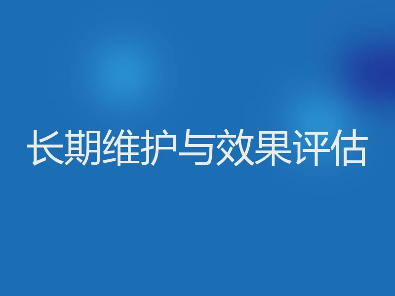 长期维护与效果评估