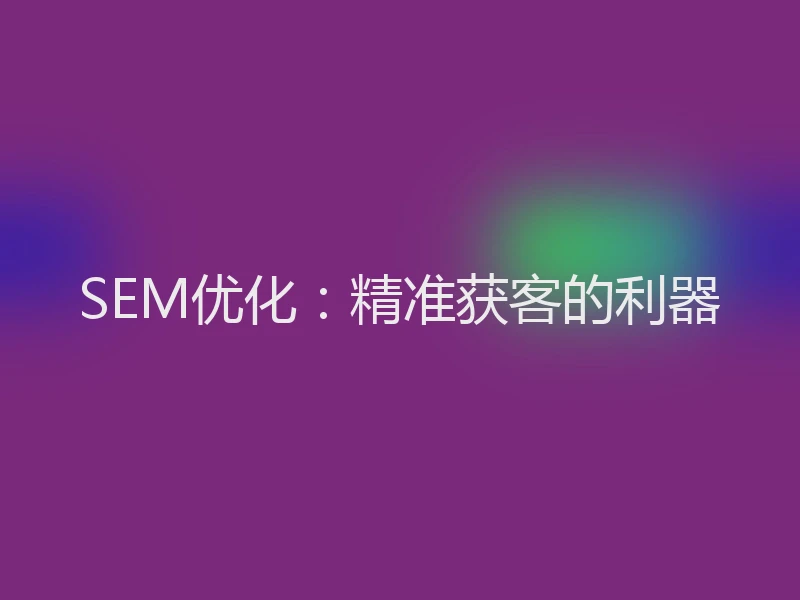 SEM优化：精准获客的利器