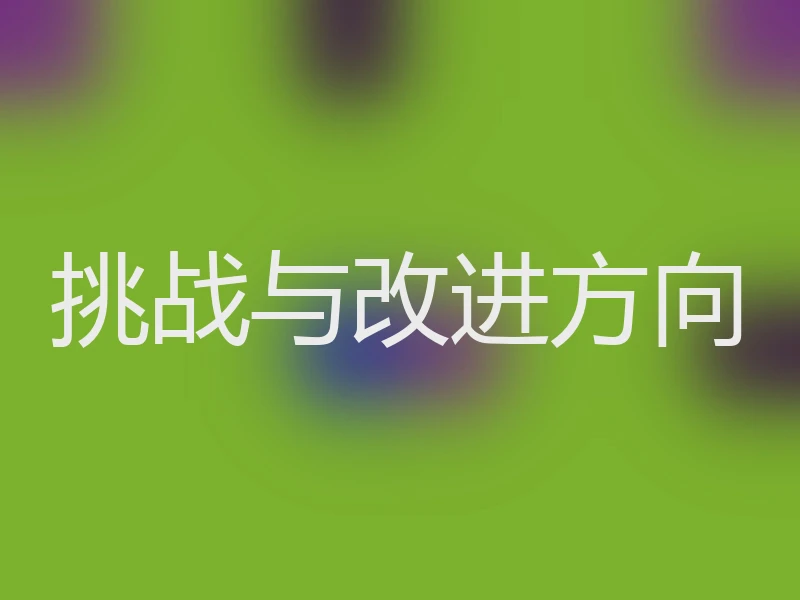 挑战与改进方向