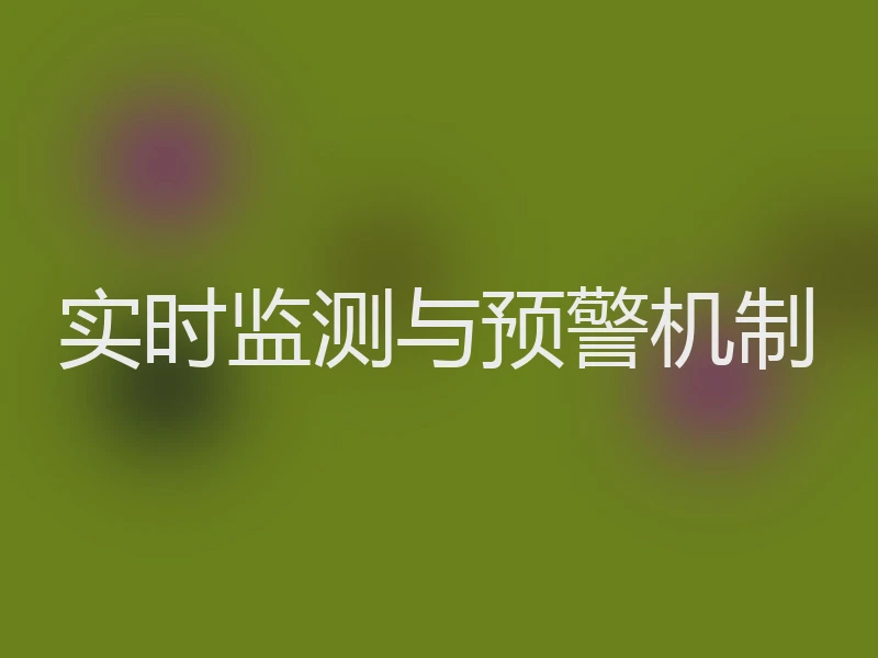 实时监测与预警机制