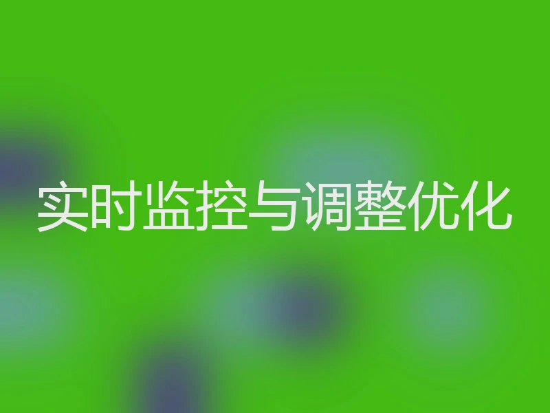 实时监控与调整优化