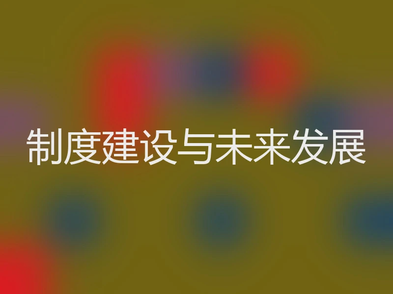 制度建设与未来发展