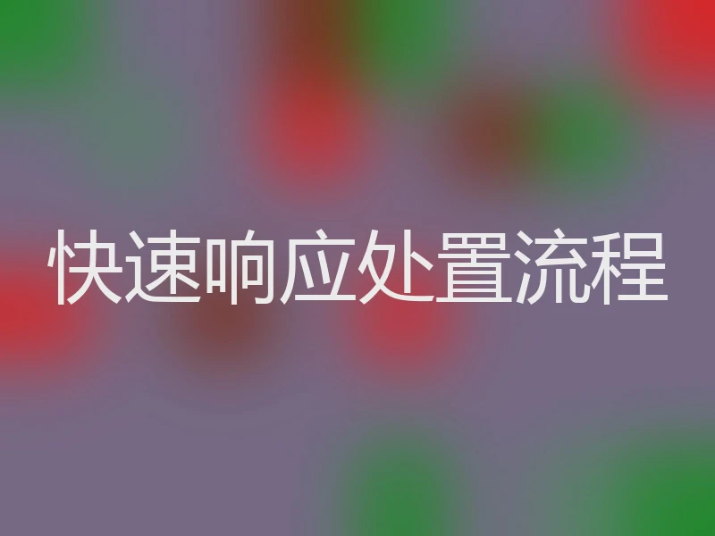 快速响应处置流程