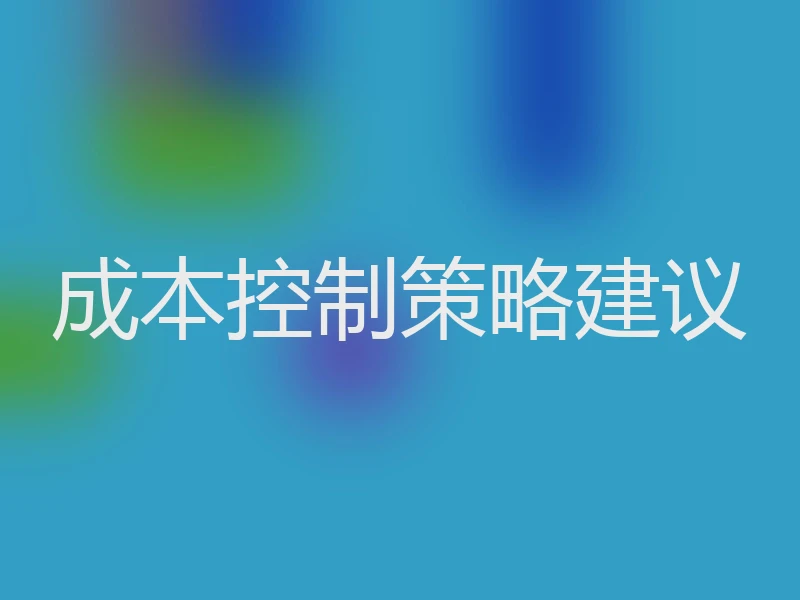 成本控制策略建议