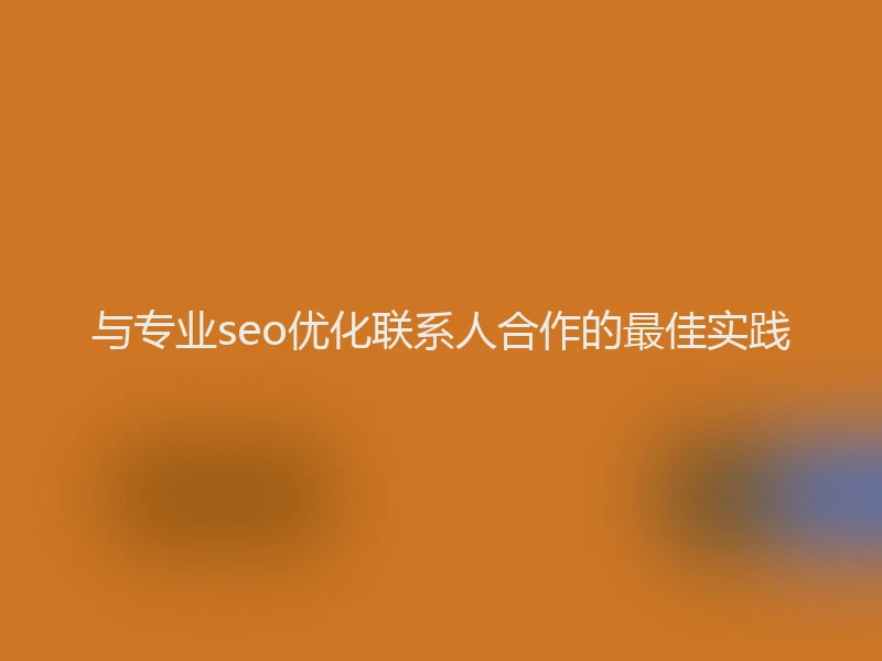 与专业seo优化联系人合作的最佳实践