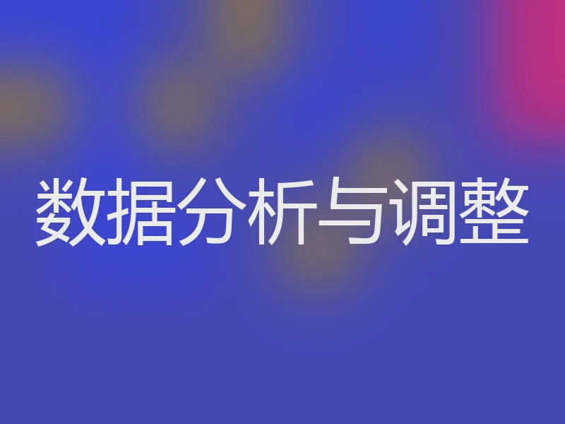 数据分析与调整