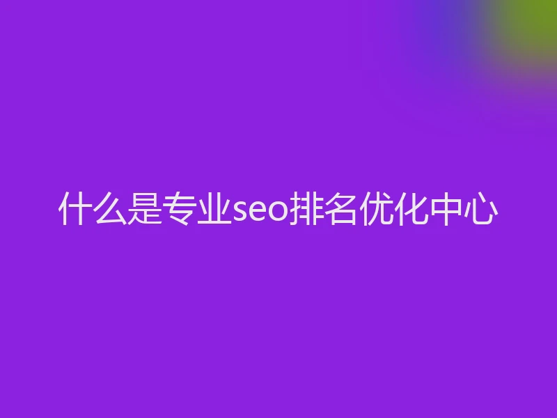 什么是专业seo排名优化中心
