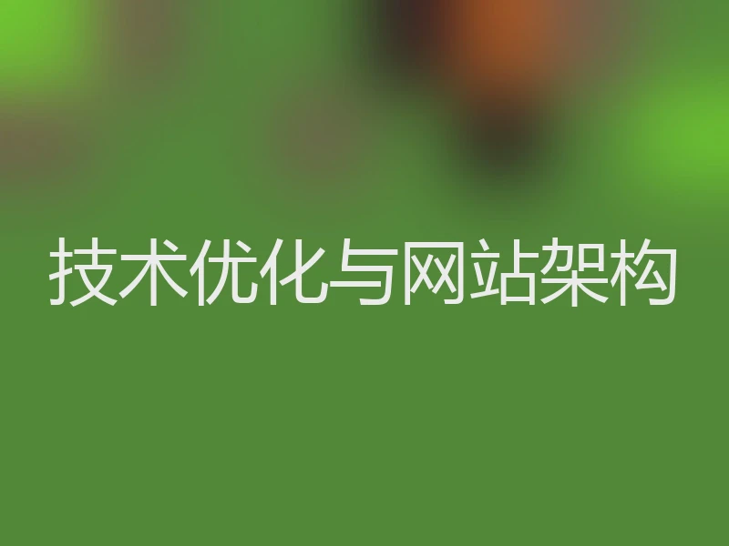 技术优化与网站架构