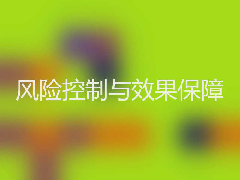 风险控制与效果保障