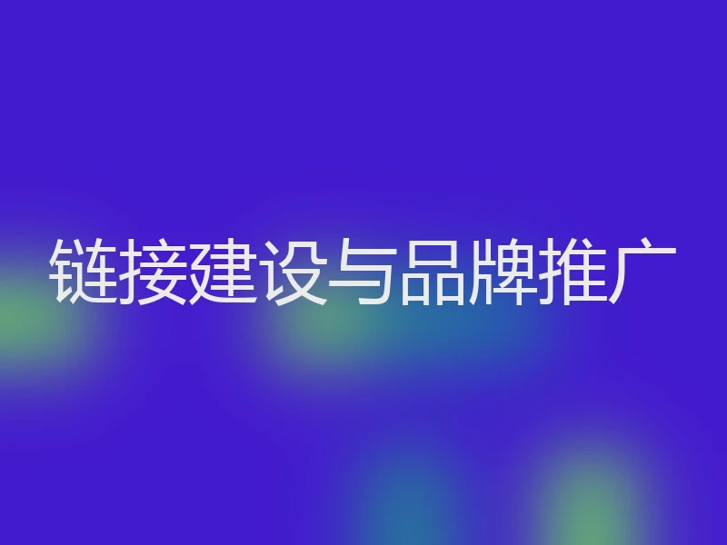 链接建设与品牌推广