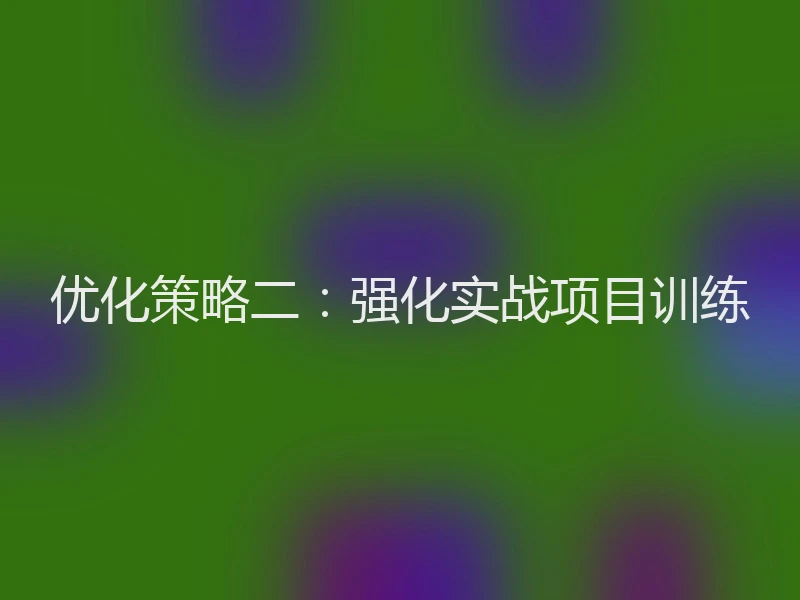优化策略二：强化实战项目训练