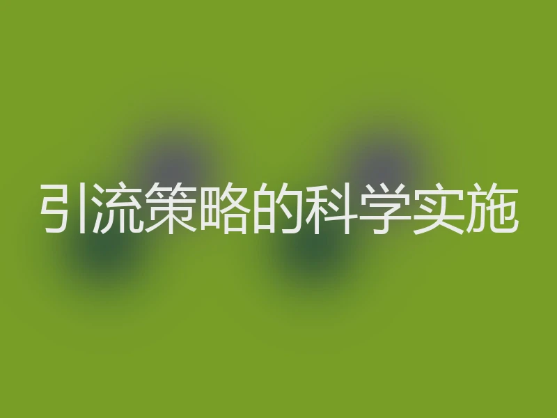 引流策略的科学实施