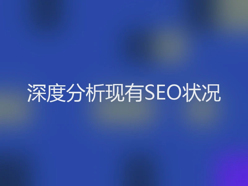 深度分析现有SEO状况