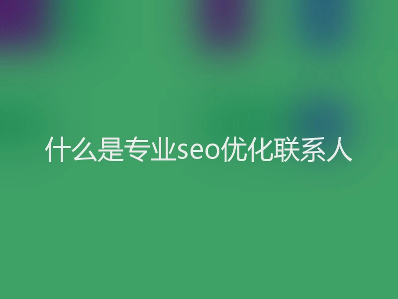 什么是专业seo优化联系人