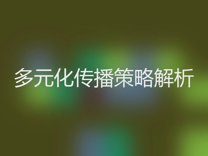 多元化传播策略解析