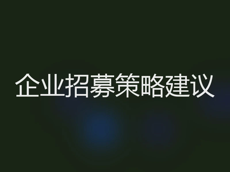 企业招募策略建议