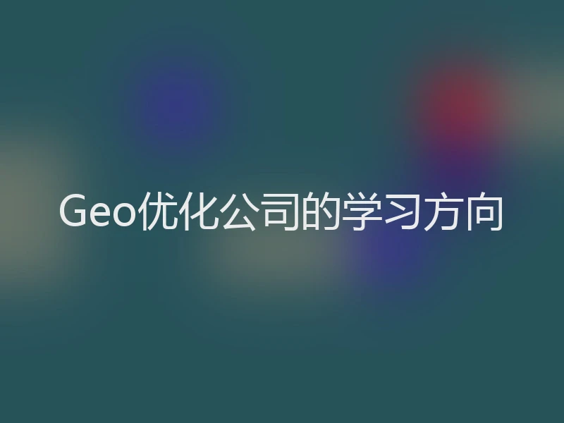 Geo优化公司的学习方向