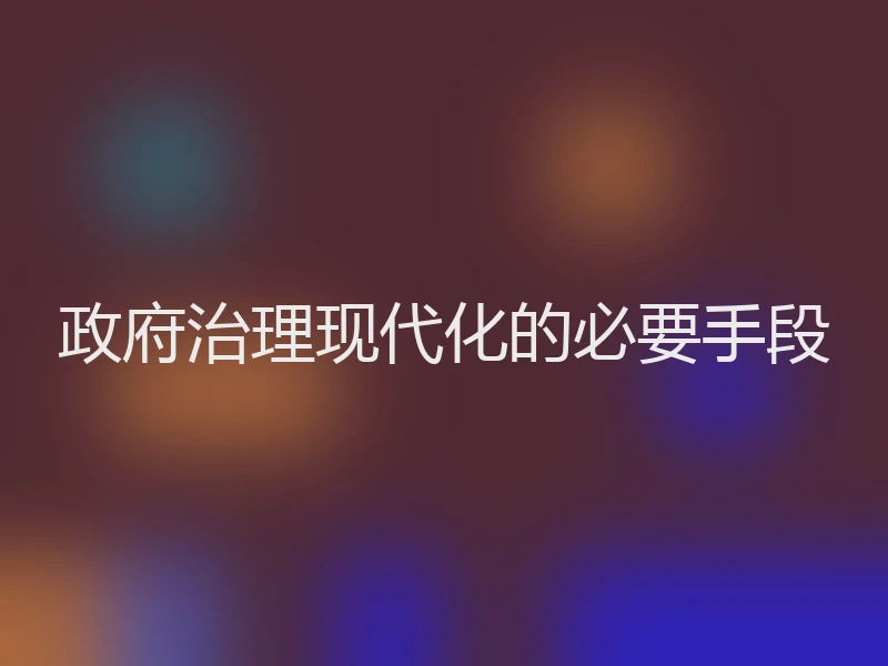 政府治理现代化的必要手段