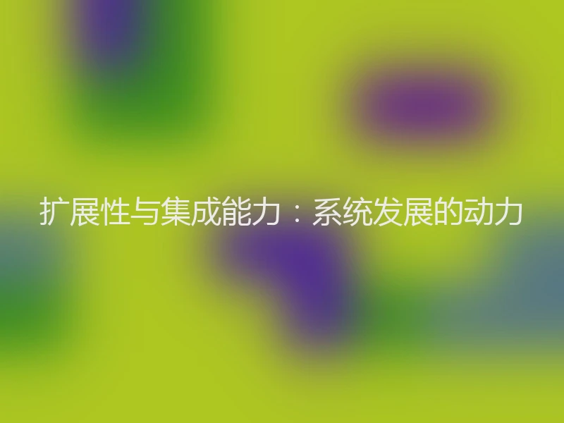 扩展性与集成能力：系统发展的动力