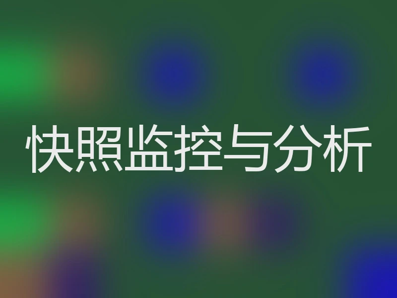 快照监控与分析