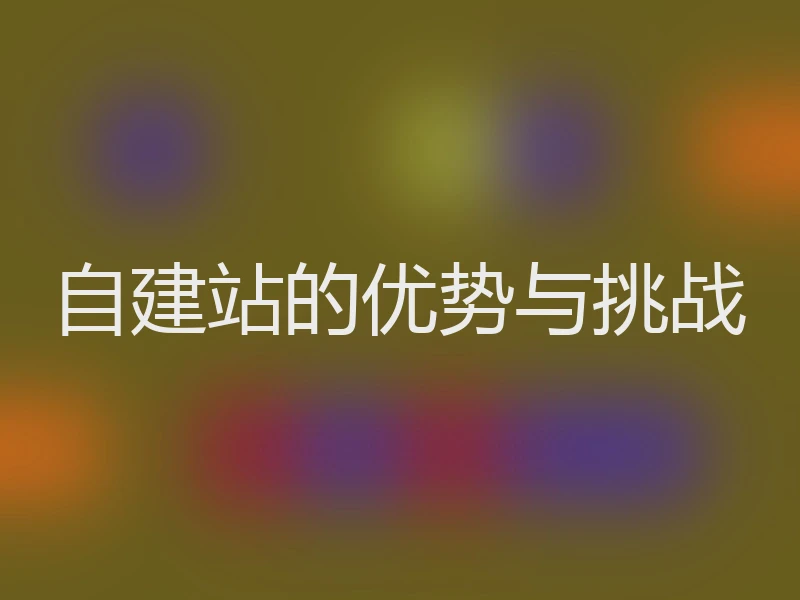 自建站的优势与挑战