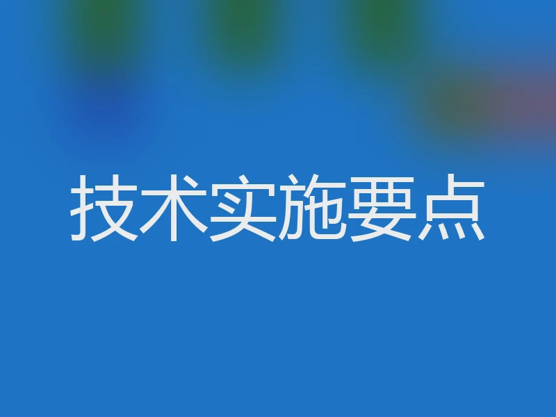 技术实施要点