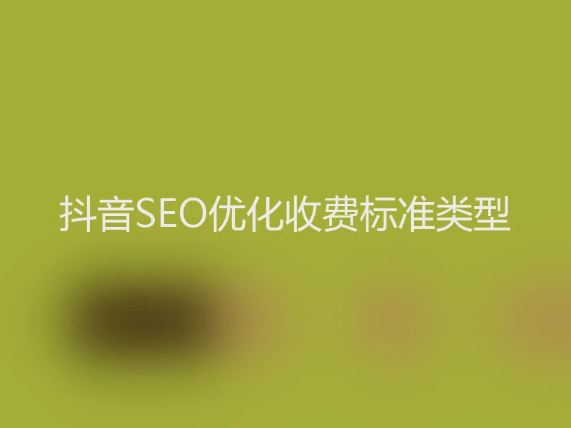 抖音SEO优化收费标准类型