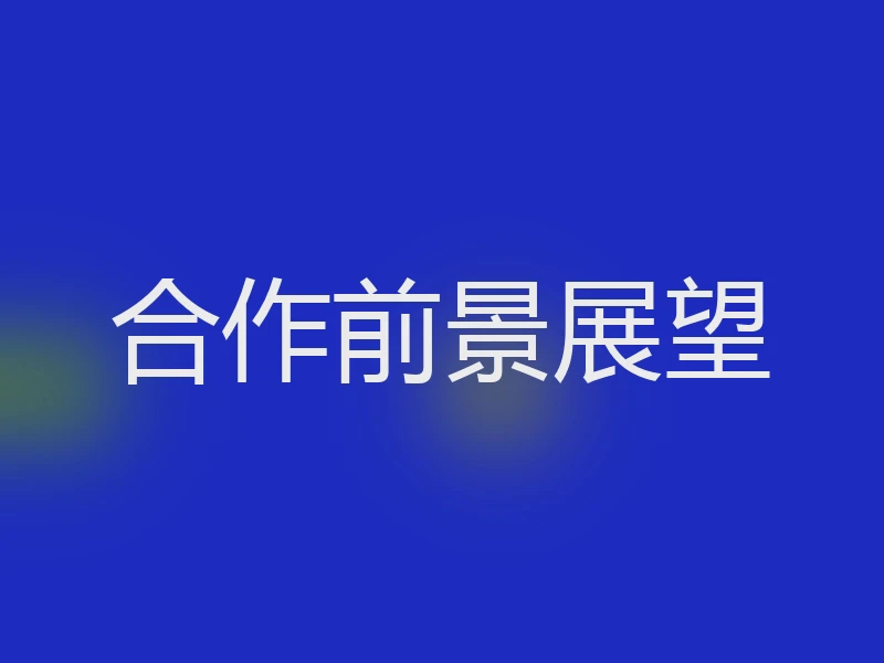 合作前景展望