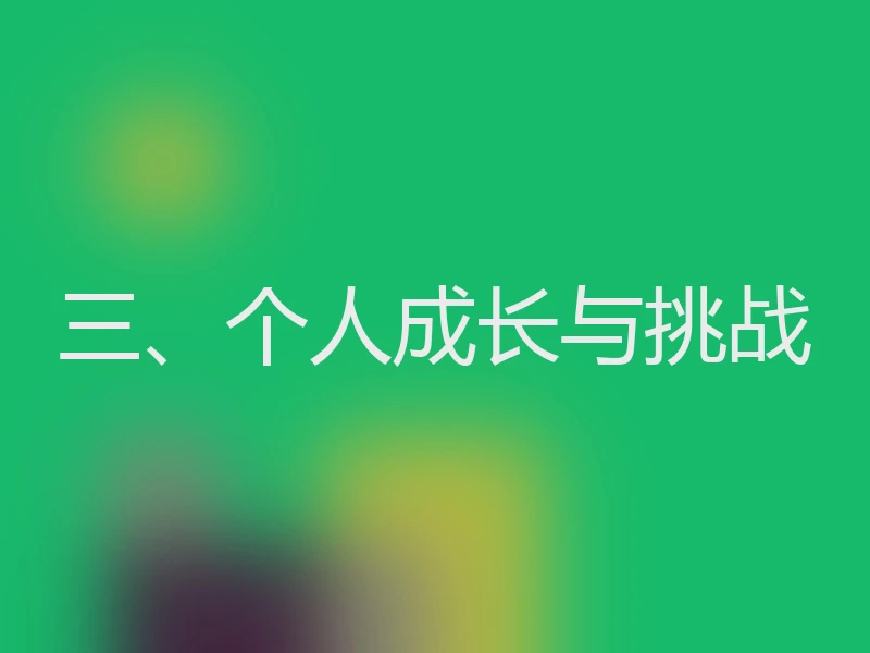 三、个人成长与挑战