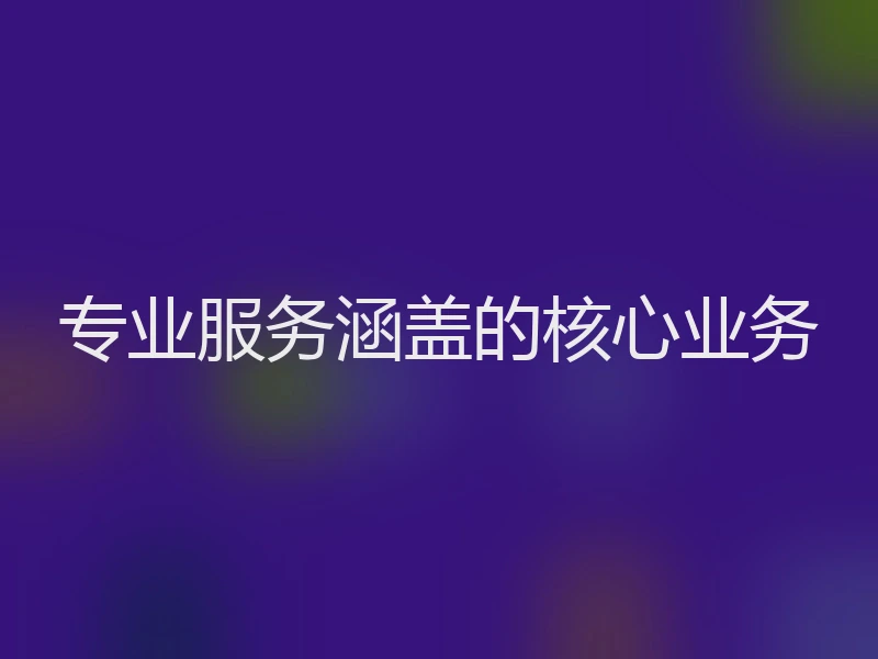 专业服务涵盖的核心业务