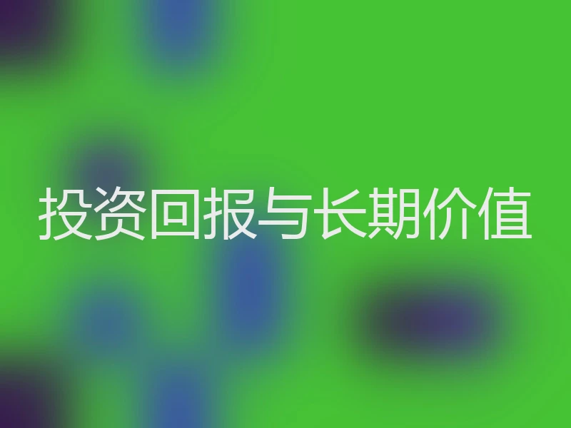 投资回报与长期价值