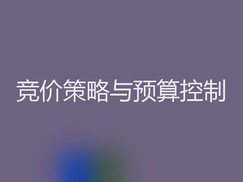 竞价策略与预算控制