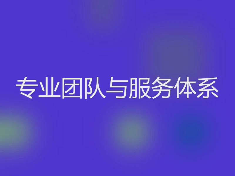 专业团队与服务体系