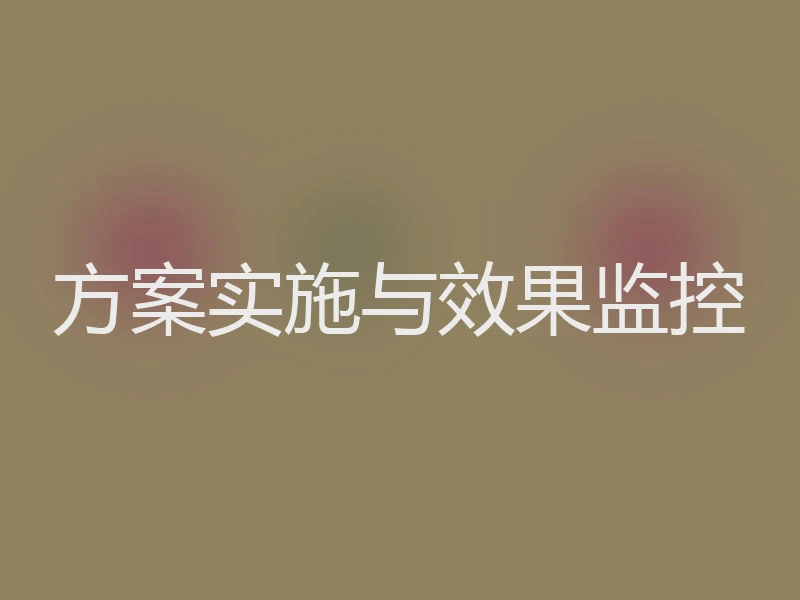 方案实施与效果监控