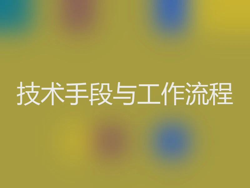技术手段与工作流程