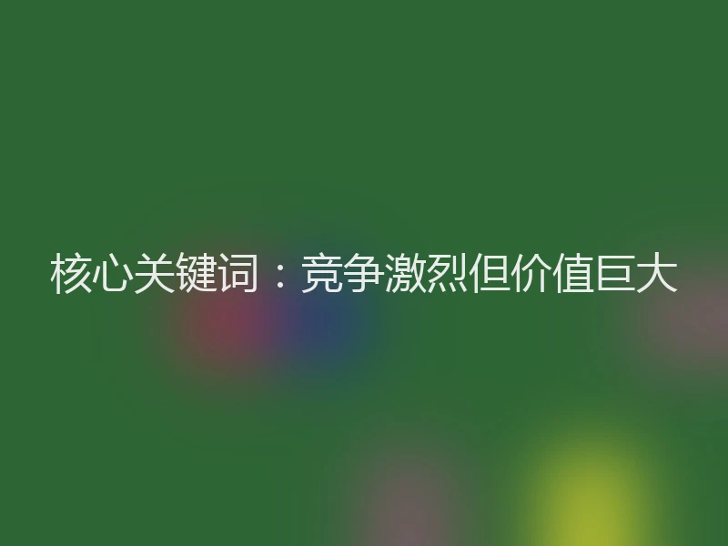 核心关键词：竞争激烈但价值巨大