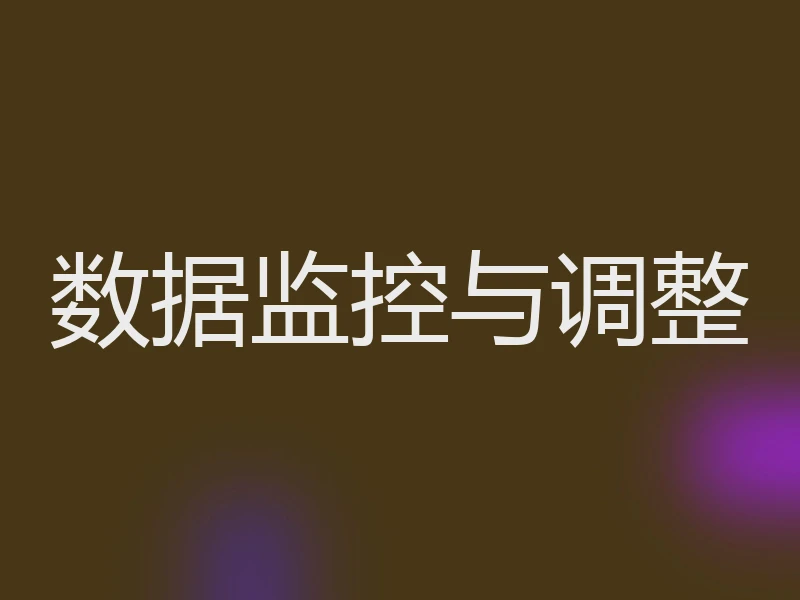 数据监控与调整
