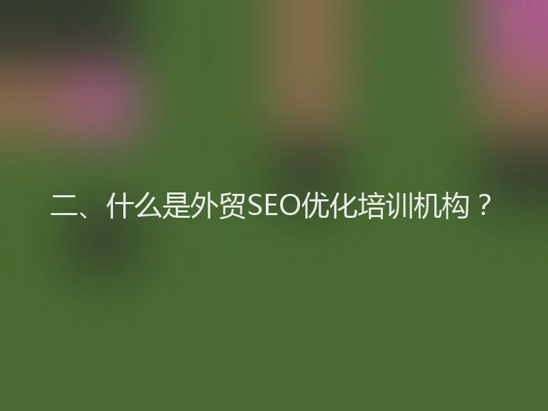 二、什么是外贸SEO优化培训机构？