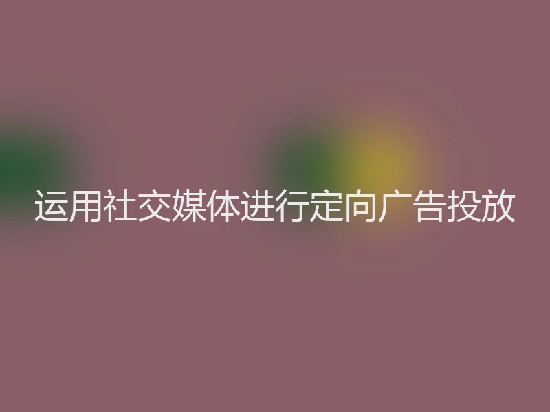 运用社交媒体进行定向广告投放