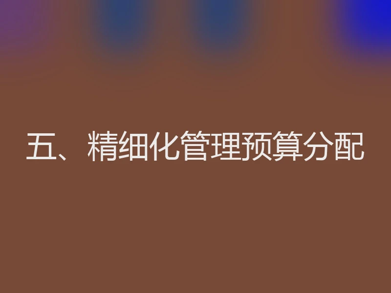 五、精细化管理预算分配