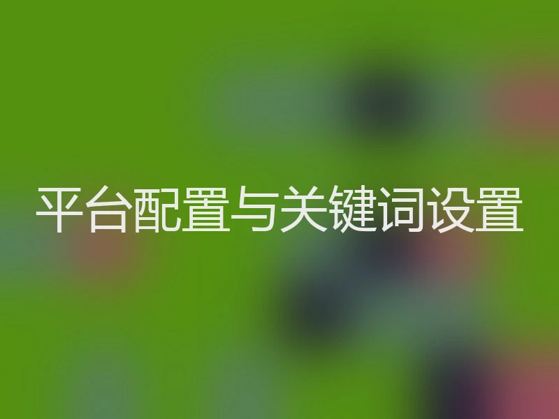 平台配置与关键词设置