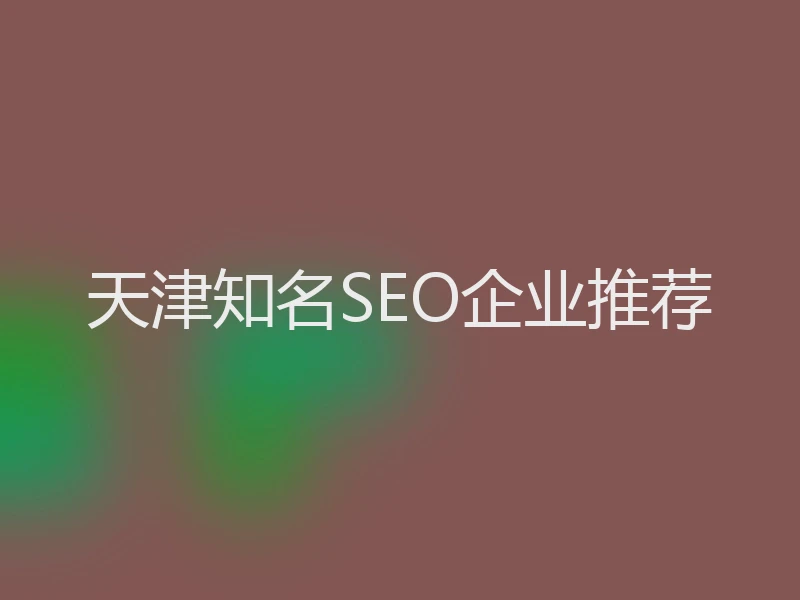 天津知名SEO企业推荐