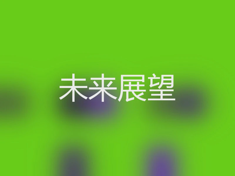 未来展望
