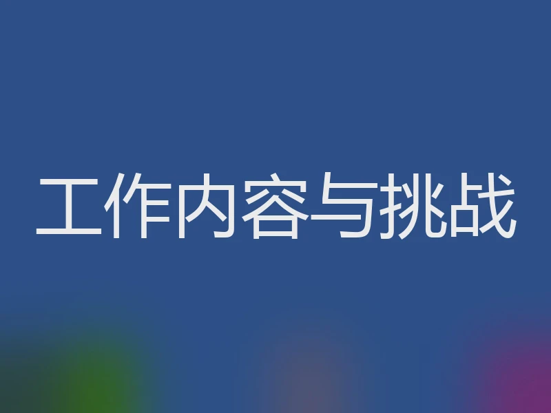 工作内容与挑战