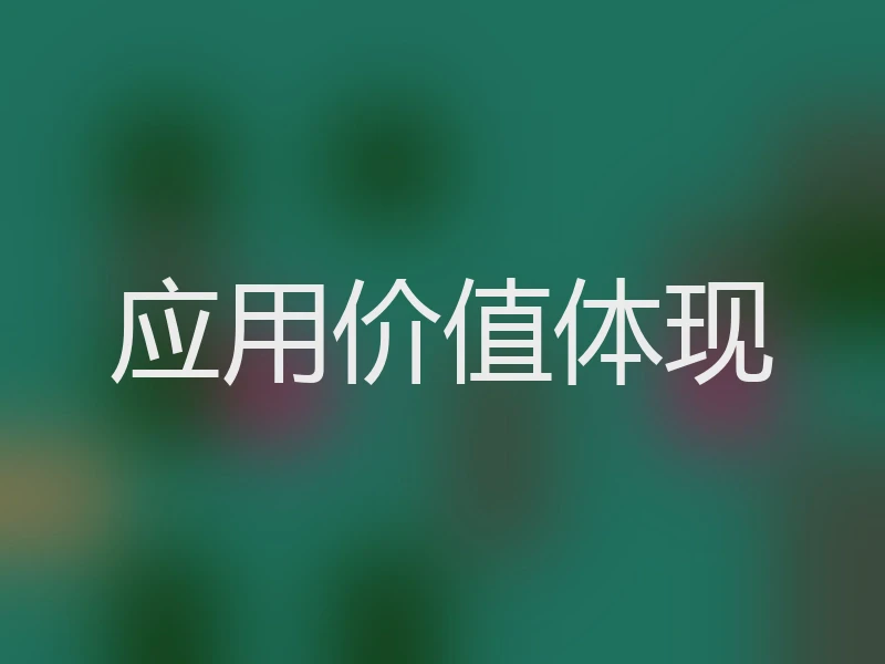 应用价值体现