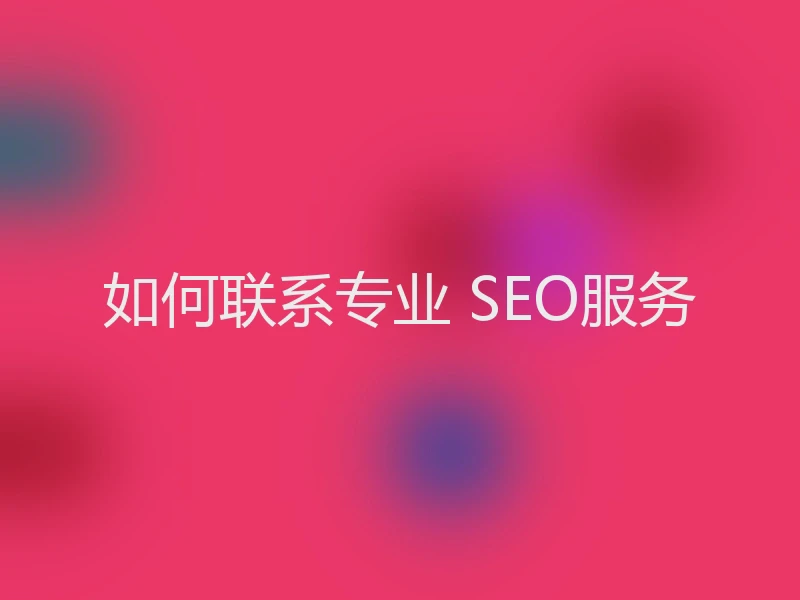 如何联系专业 SEO服务