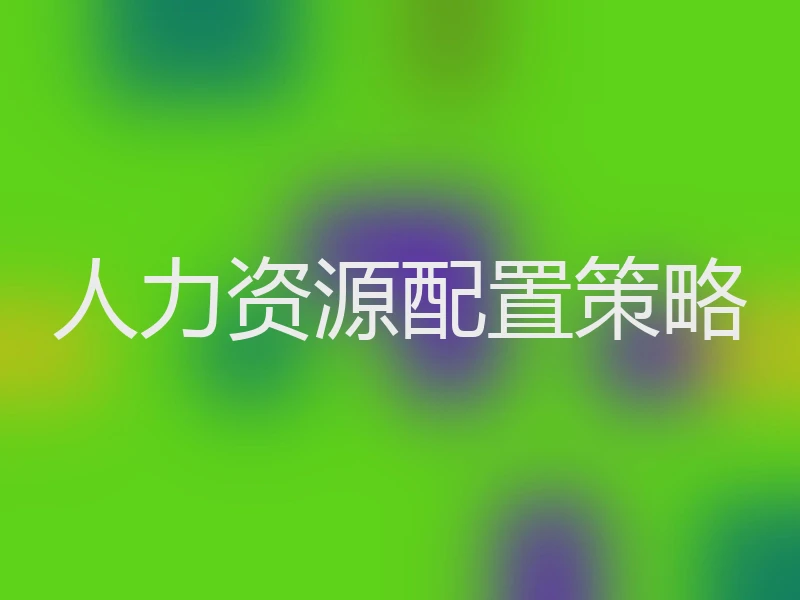 人力资源配置策略
