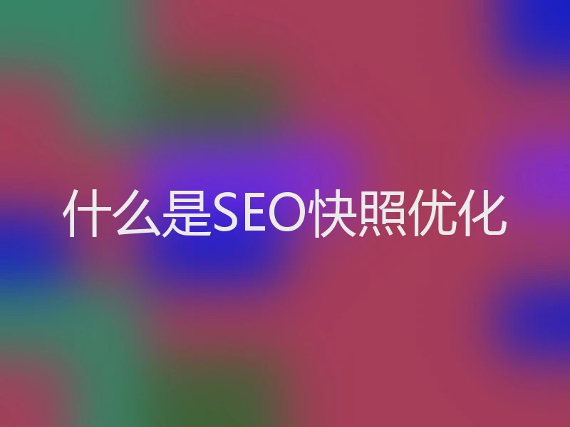 什么是SEO快照优化