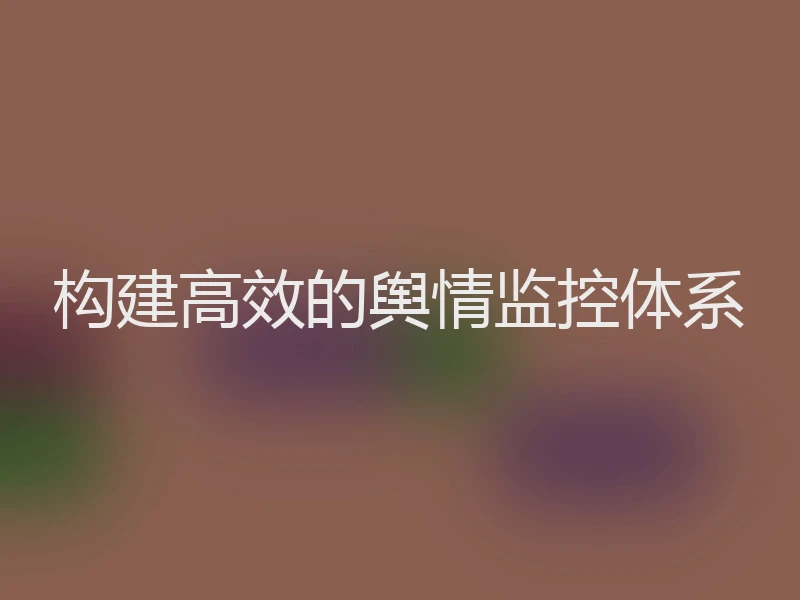 构建高效的舆情监控体系